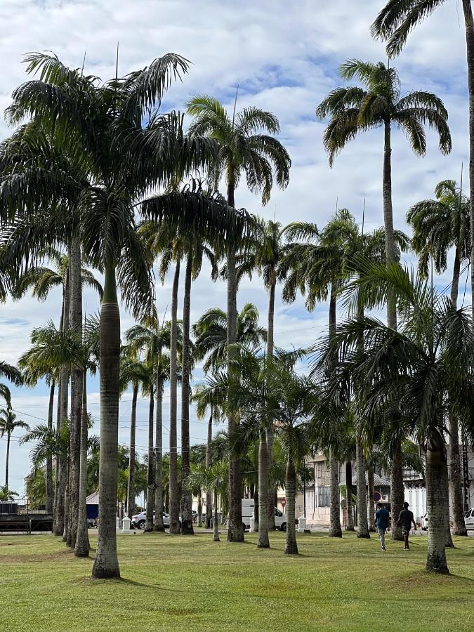 فندق Ibis Styles Cayenne Centre Amazonia المظهر الخارجي الصورة